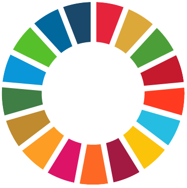 Sustainable Development Goal wheel icon with coloured segments