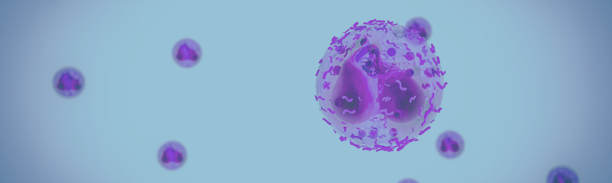 Image illustrating immune system fighting pathogen in inflammation