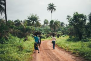 Adaptation Collection from TFO: Three women walk down a rural road carrying wood on their heads