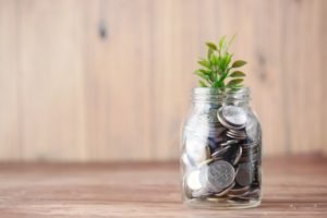 Climate and Sustainable Finance Collection from TFO: Pennies in a jar surrounding a growing plant