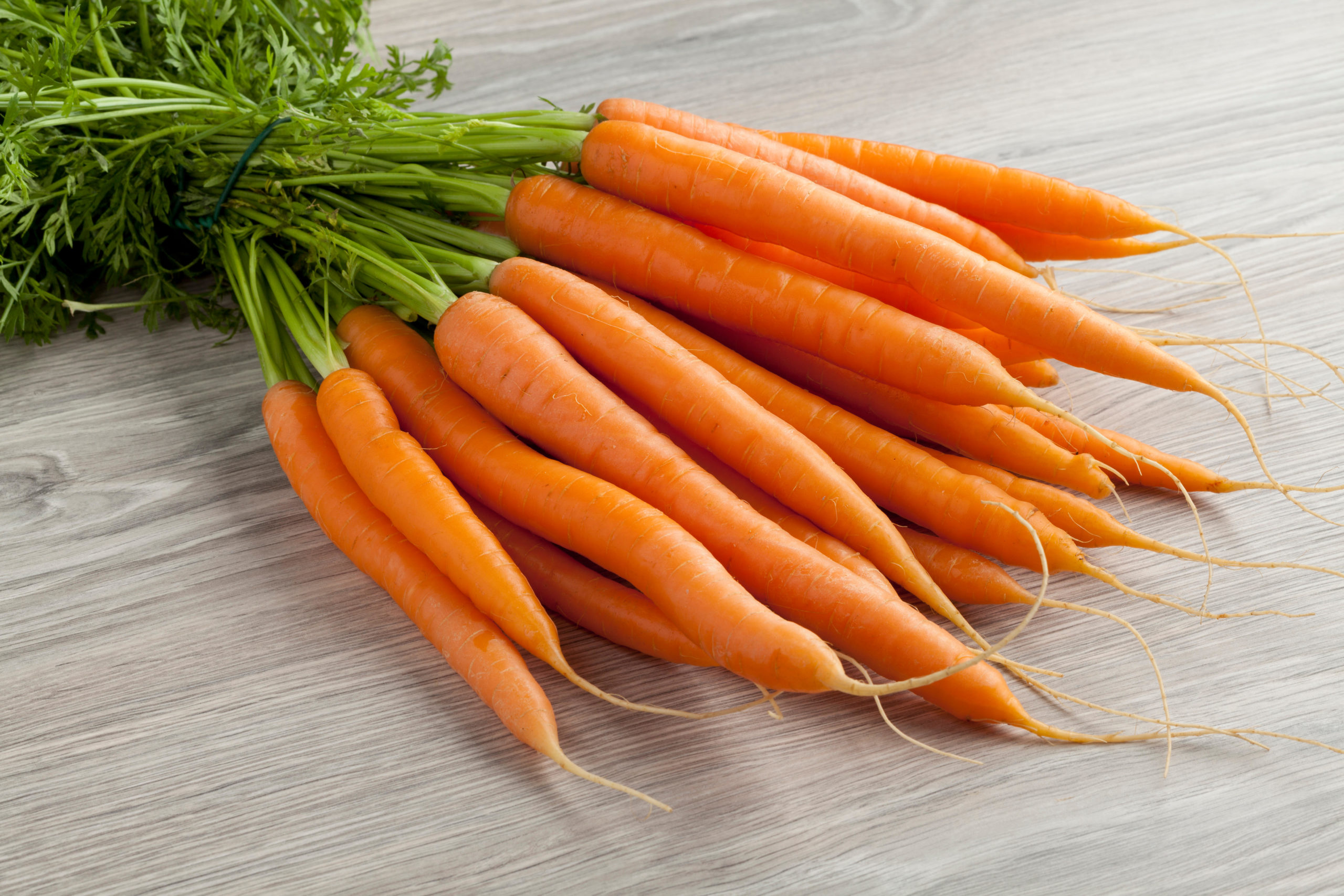Fresh bunch of orange carrots