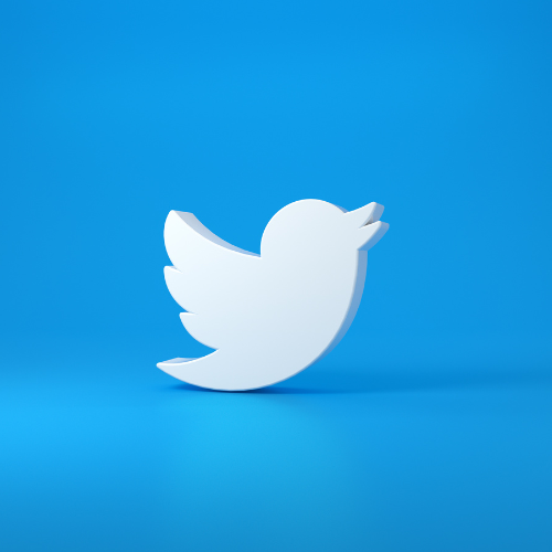 White bird Twitter icon with blue background