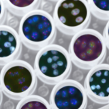 White test caps with varying blue, purple, and multicoloured genome cells sat inside.