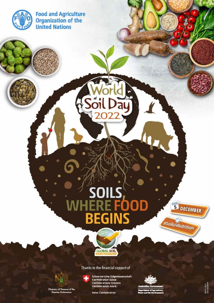 Wolrd soil day infographics to promote 2022's theme: Soils, where food begins