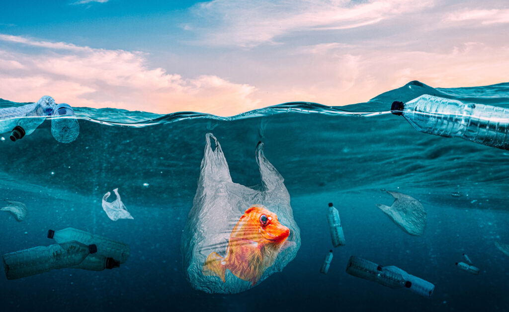 Plastic in ocean with fish trapped