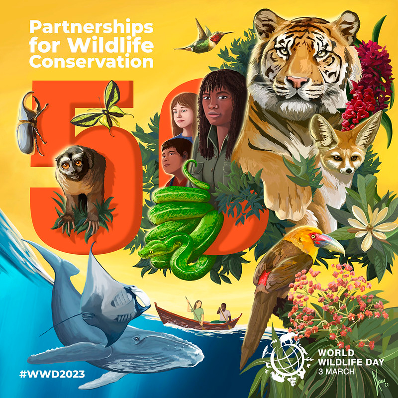 World Wildlife day 2023 promotion with illustrations of forest animals, bugs and sealife