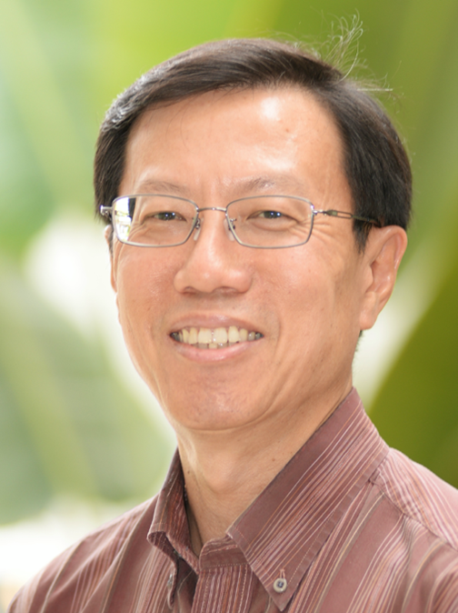Professor Ang Peng Hwa