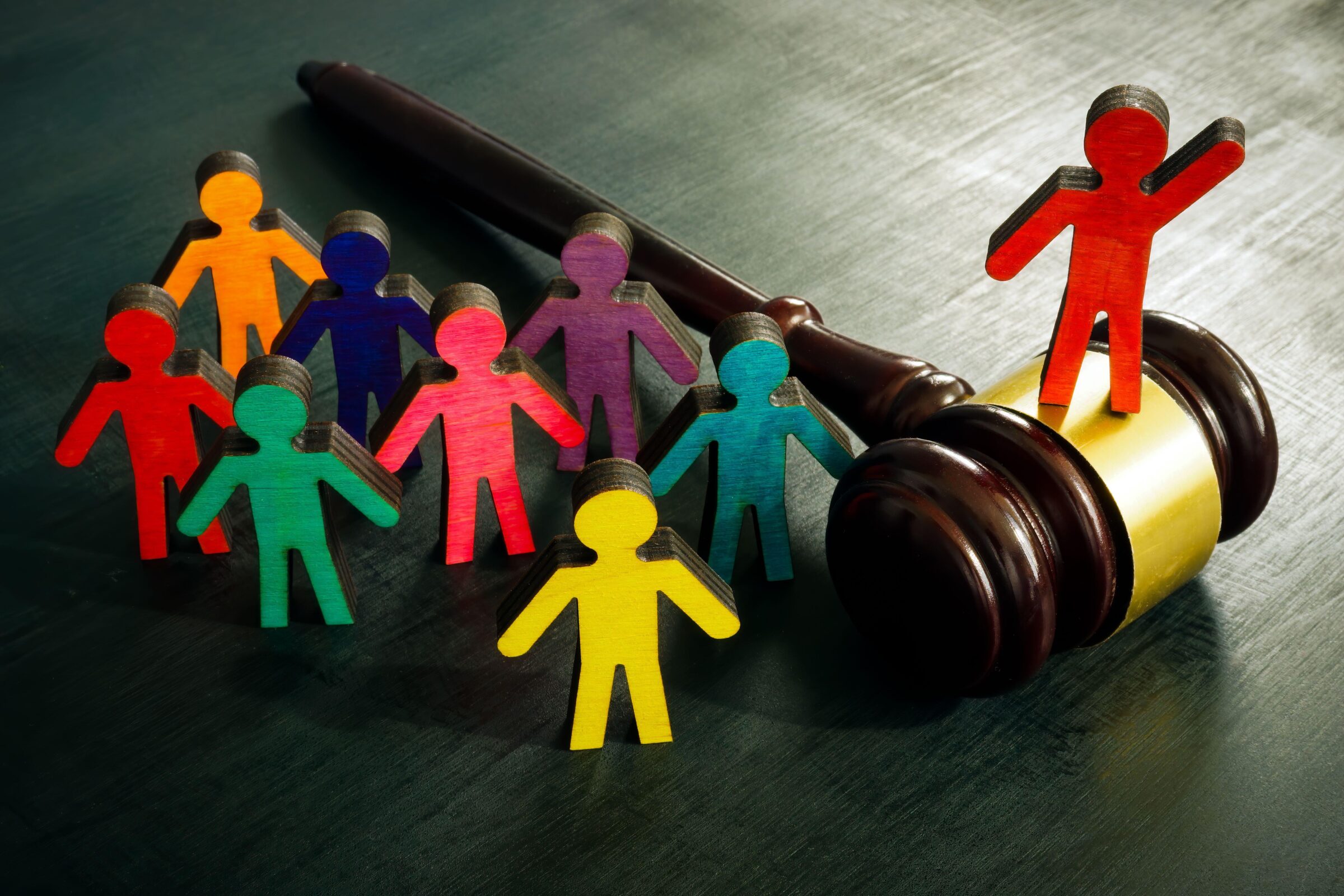 Human rights legislature