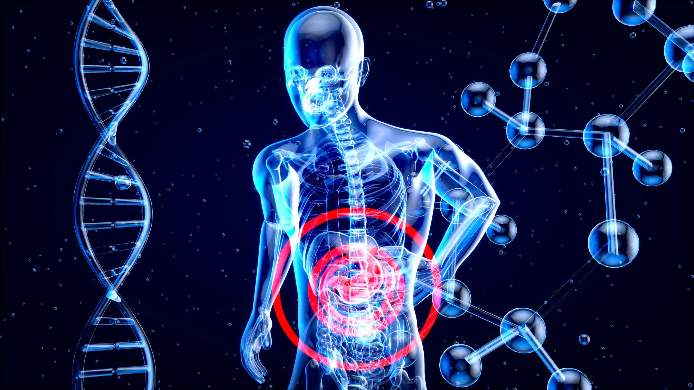 digital xray image of human body