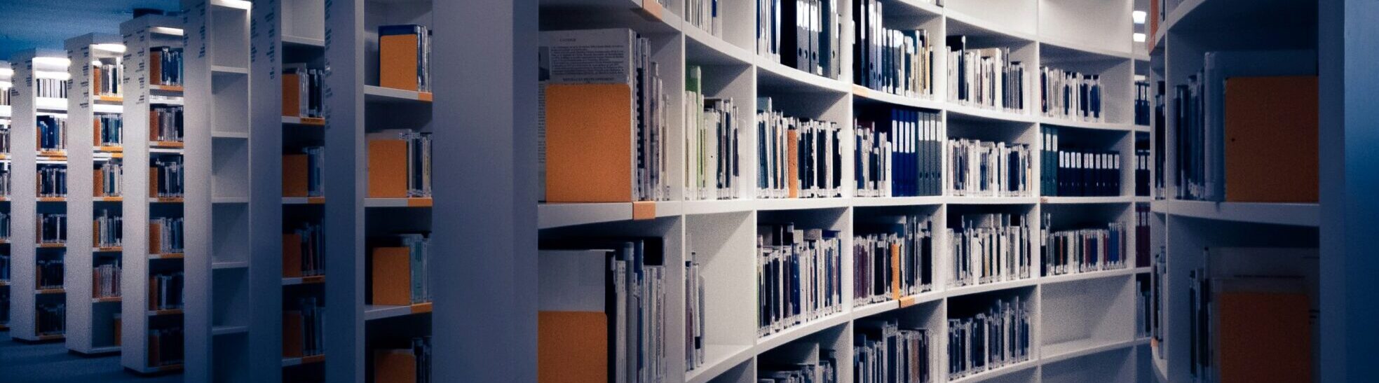 Rows of curved bookshelves.