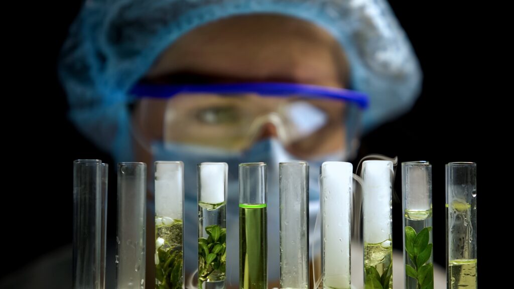 Scientist analyses test tubes containing plants. 